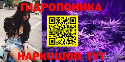 ПСИЛОЦИБИНОВЫЕ ГРИБЫ Изобильный